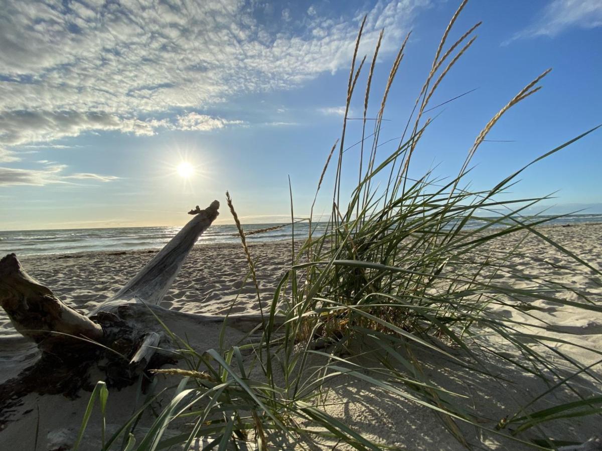 Fewo Unweit Warnemuende Sobierajczyk In Markgrafenheide Rostock Ngoại thất bức ảnh